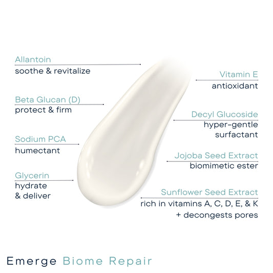 Emerge Biome Repair